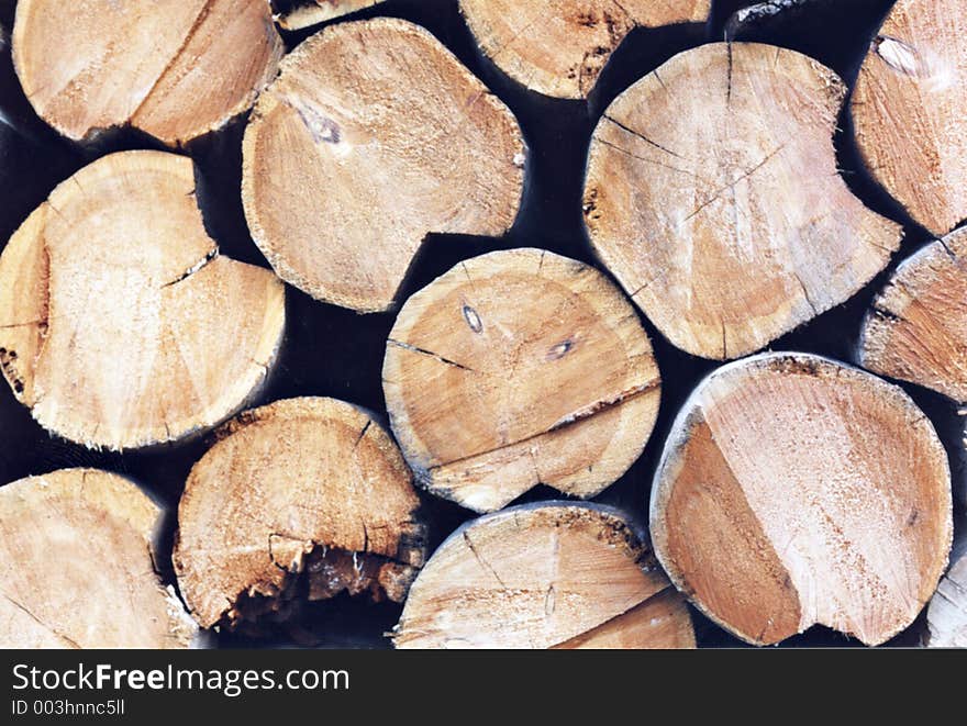 Pile of logs. Pile of logs