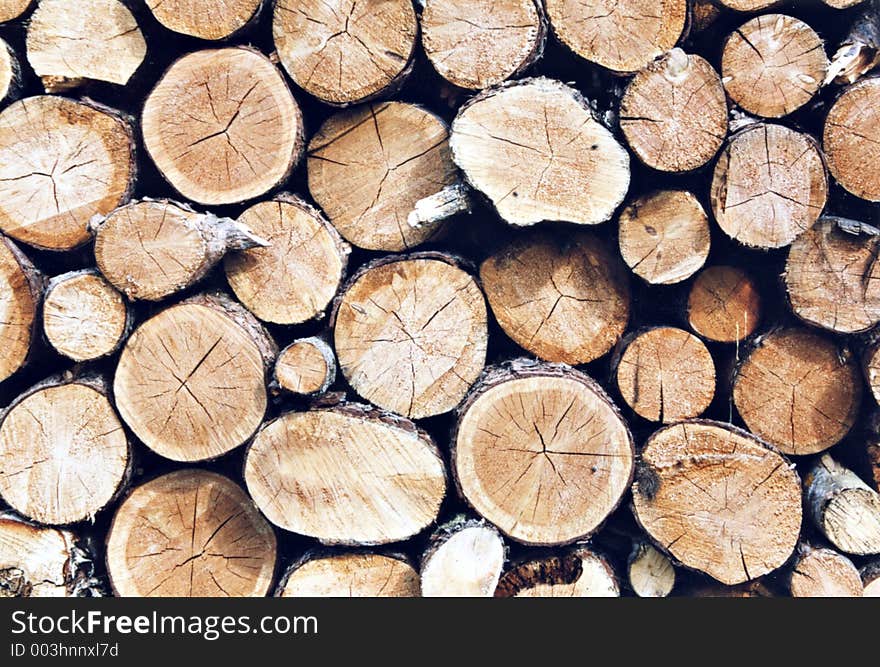 Pile of logs. Pile of logs