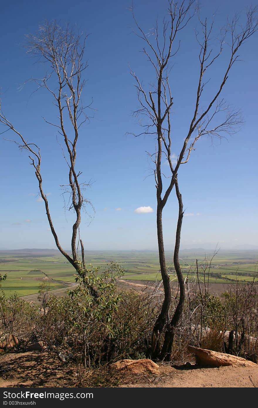 Lookout landscape