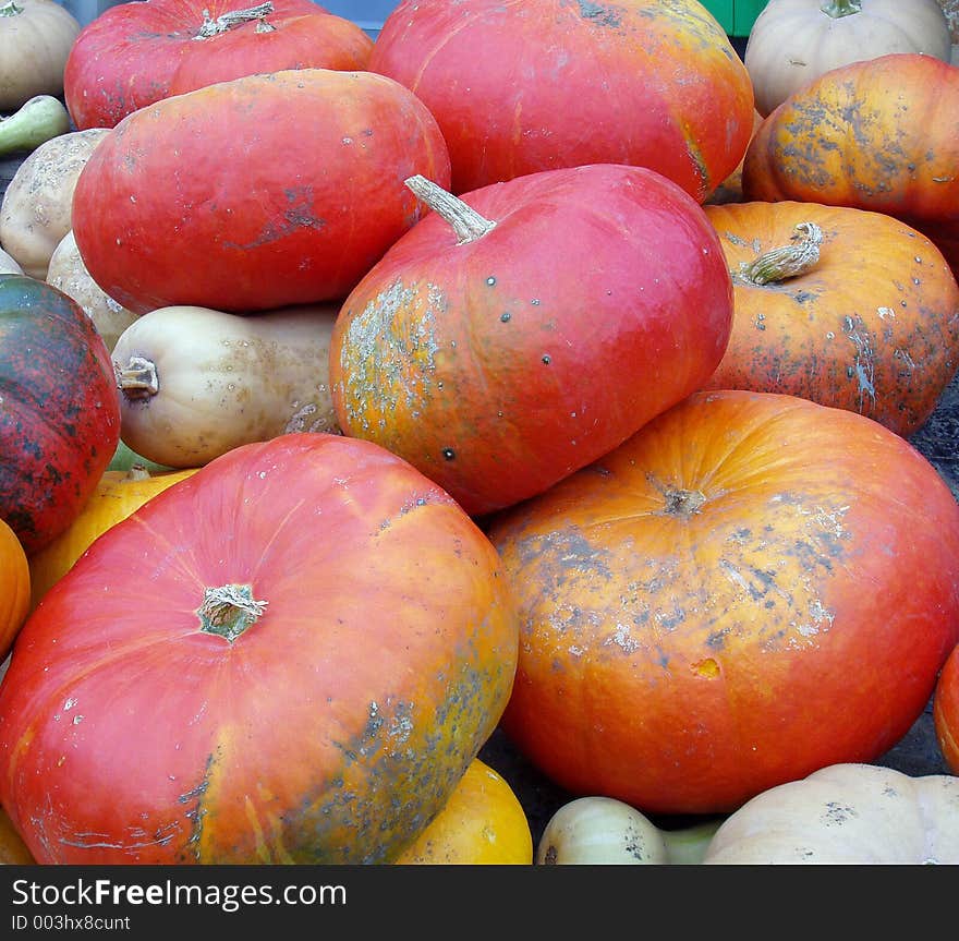 Assorted Gourds