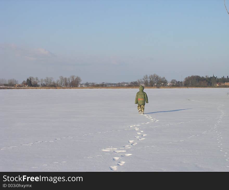 Walk On The Frozen Lake