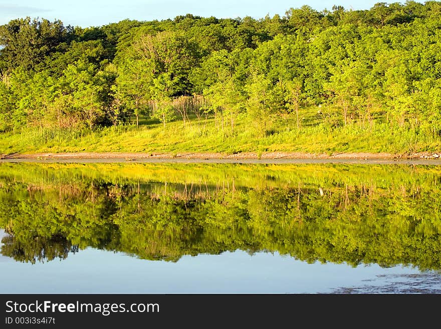 Trees reflected in a pond at sunset. Trees reflected in a pond at sunset