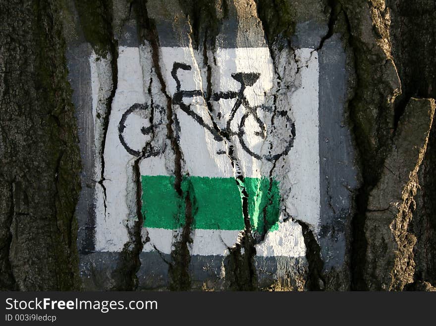Bicycle lane sign painted on a tree in Poland. Bicycle lane sign painted on a tree in Poland