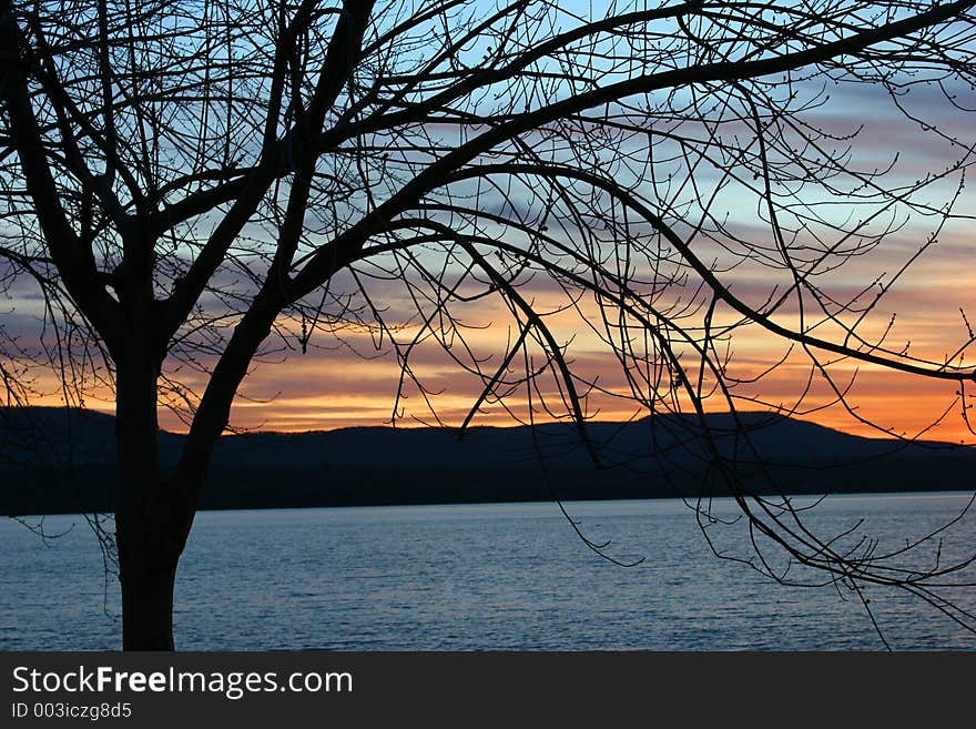 Sunset with silhouette of tree