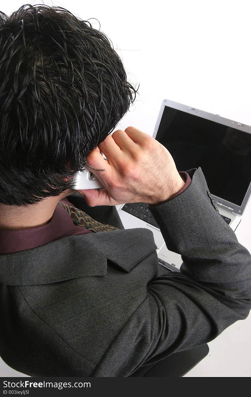 Businessman working on the laptop talking on the phone