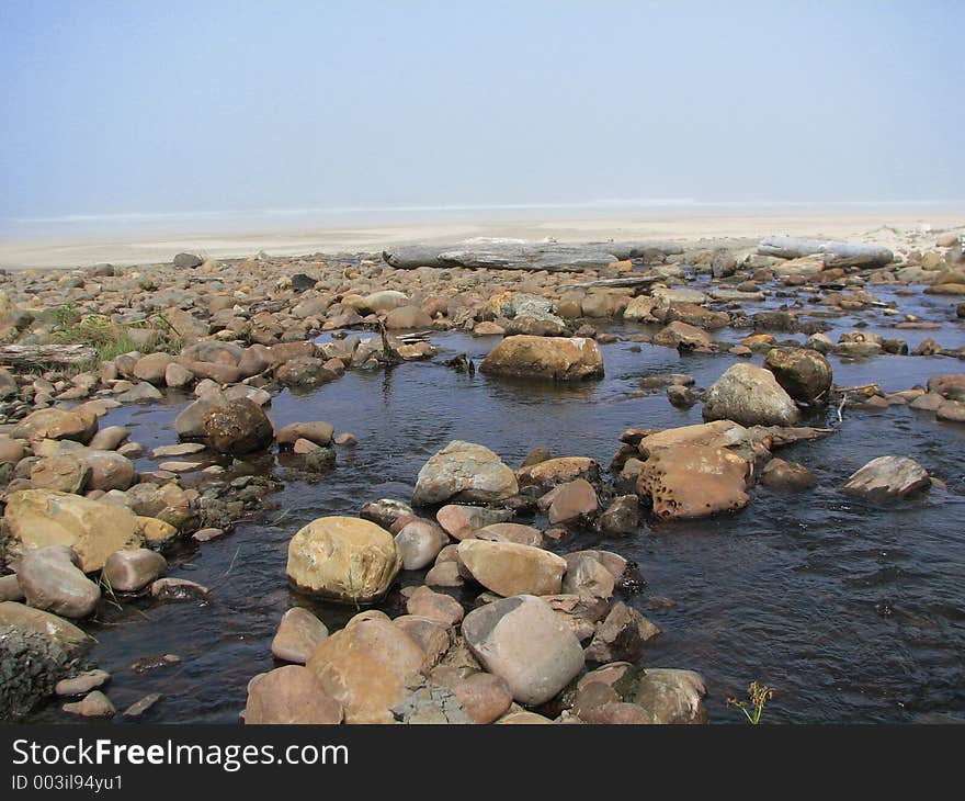 Creek and Ocean