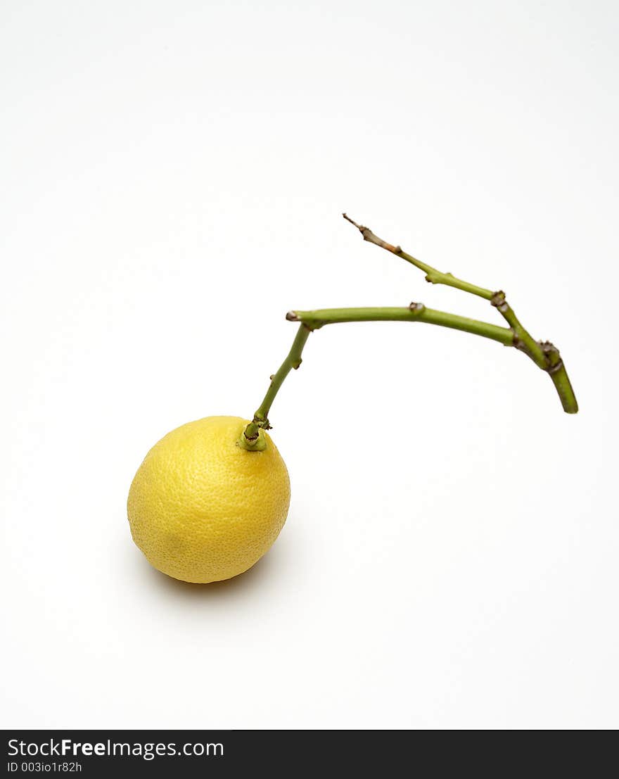 Lemon with green branch. Lemon with green branch