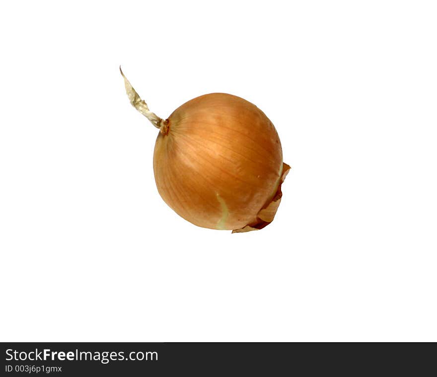 Isolated onion on white