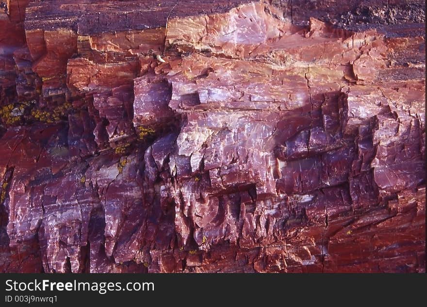 Macro shot of petrified wood grain. Macro shot of petrified wood grain.