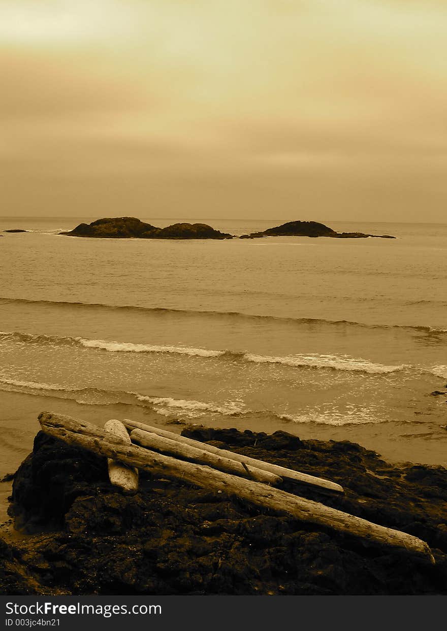 Stormy Seas in Sepia