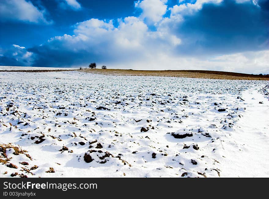 Winter landscape