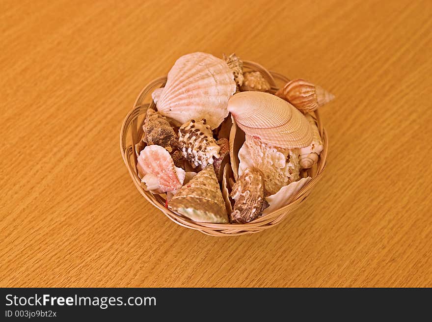 Shell basket on a wood background top view. Shell basket on a wood background top view