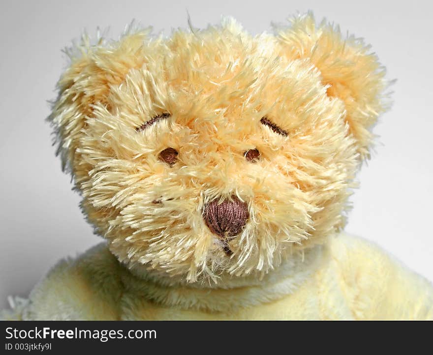 Close-up of teddy bear