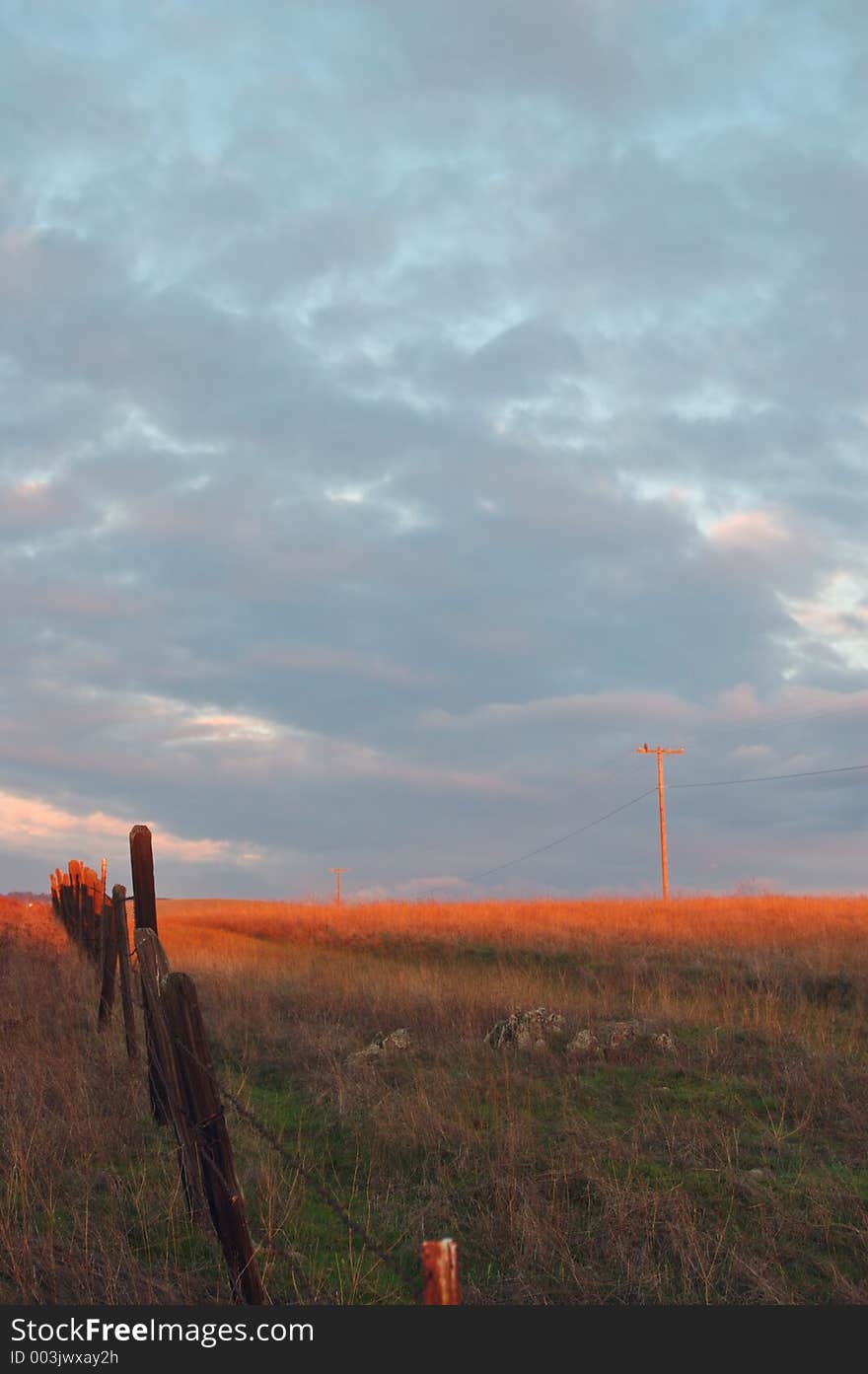 Afternoon field