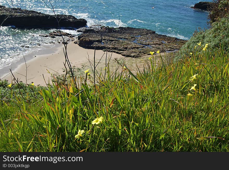 Coastal Views