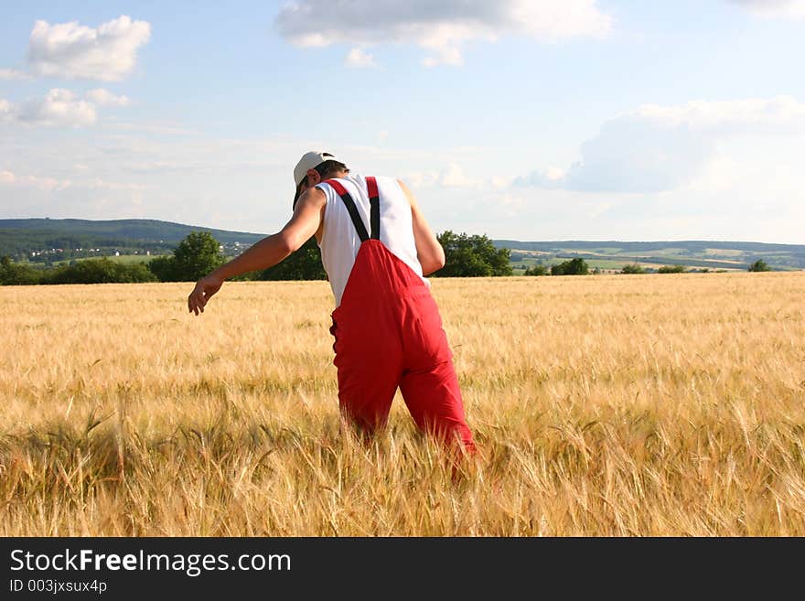 Farmer In The Field