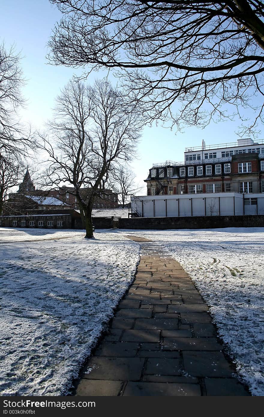 Snow at the park