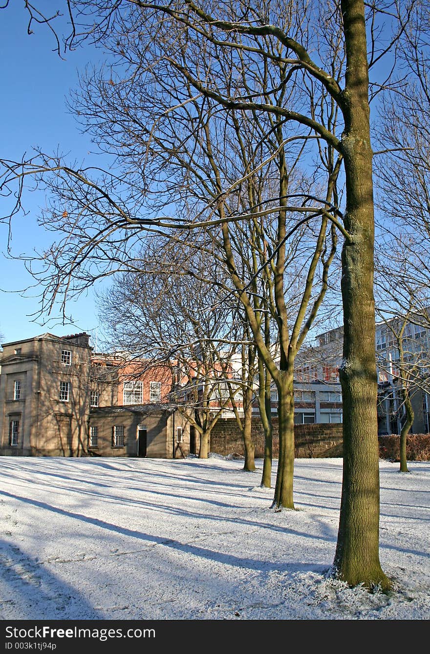 Snow at the park