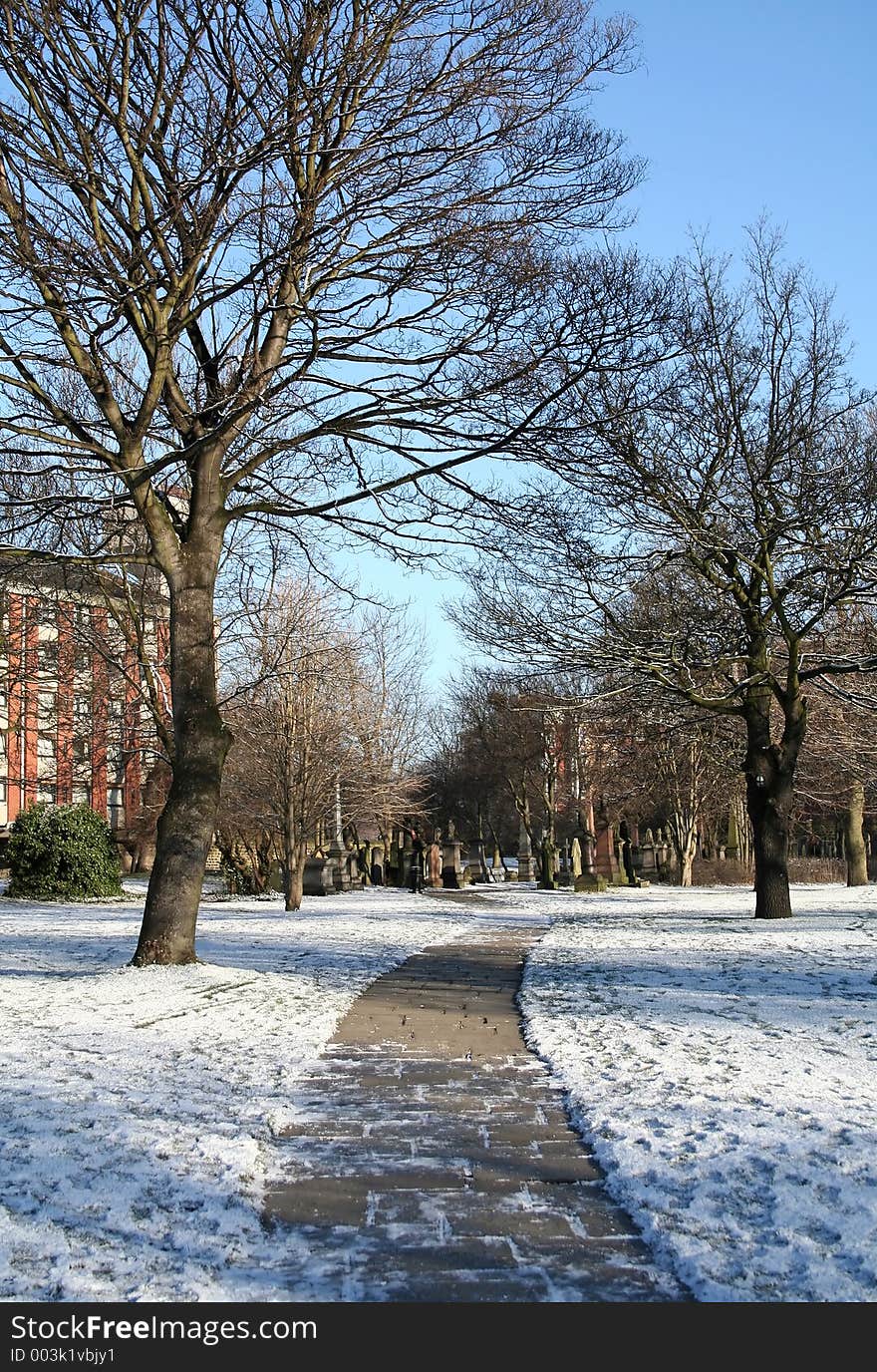 Snow at the park