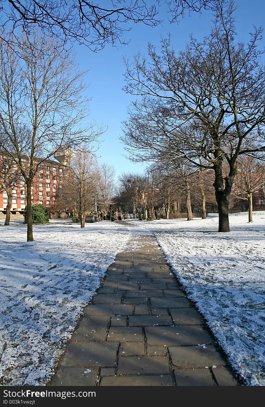 Snow at the park