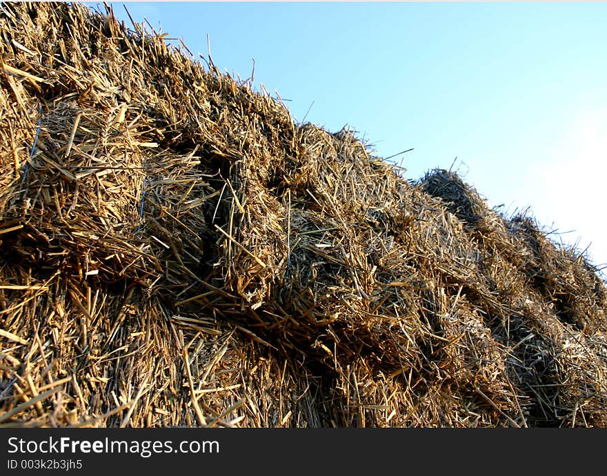 Hay wagon