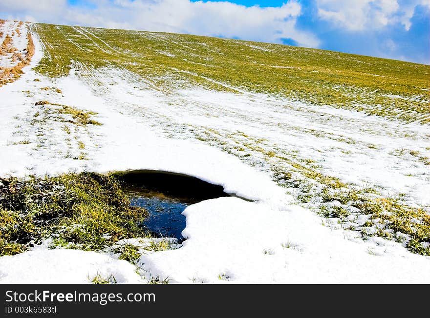 Winter - Spring Meadow