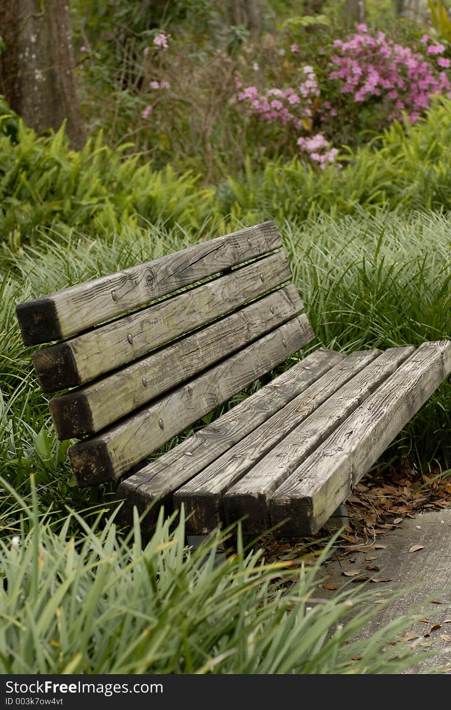 Park Bench in tall grass