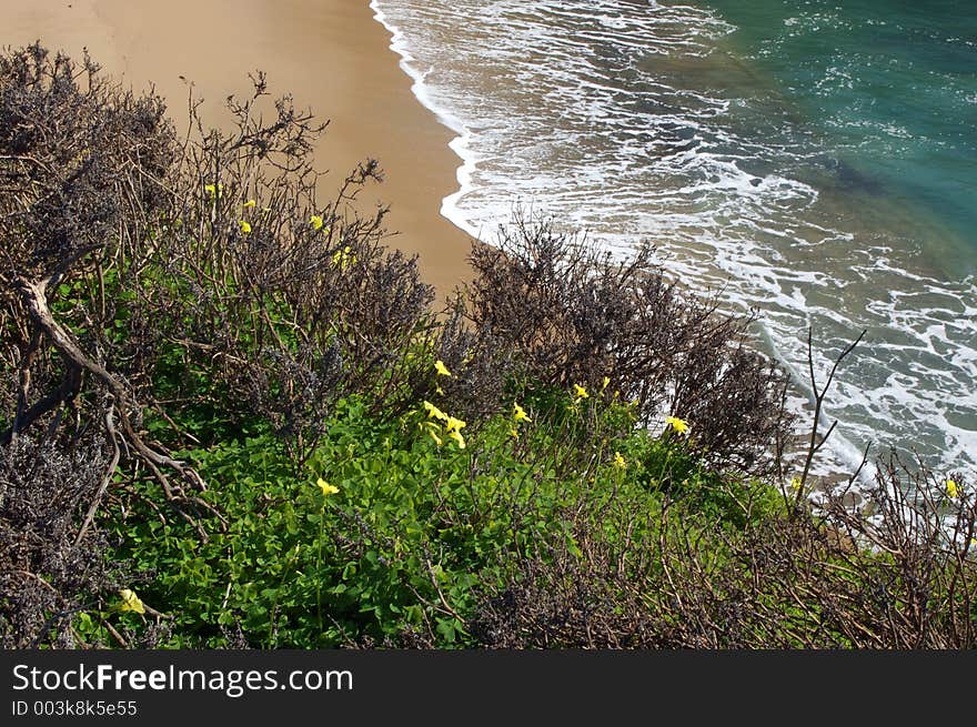 Coastal Views