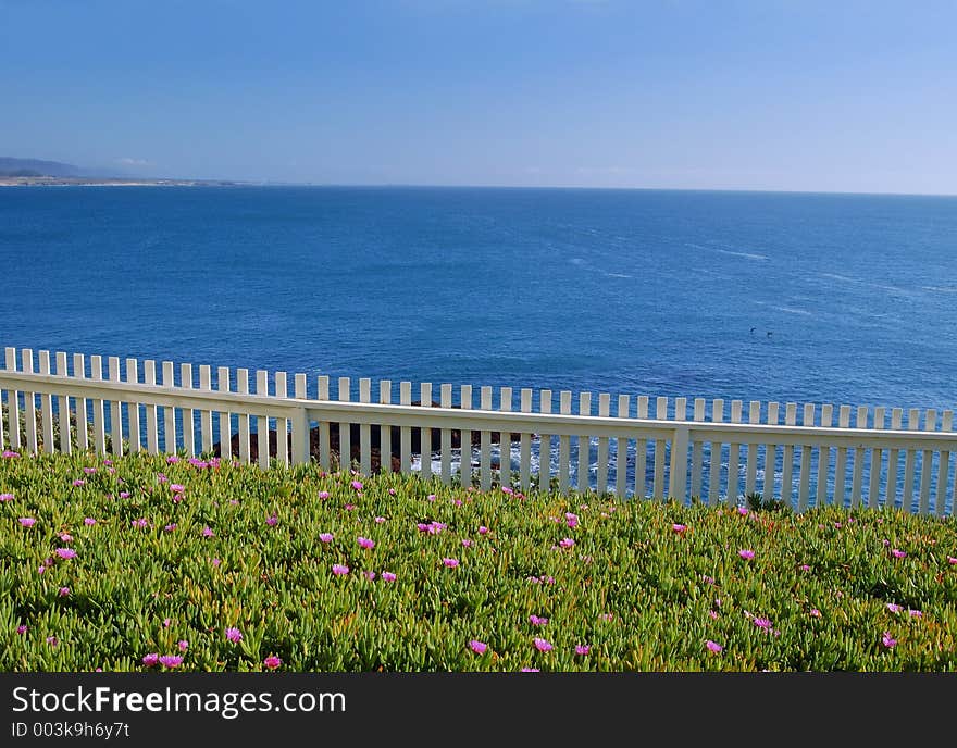 Coastal Views