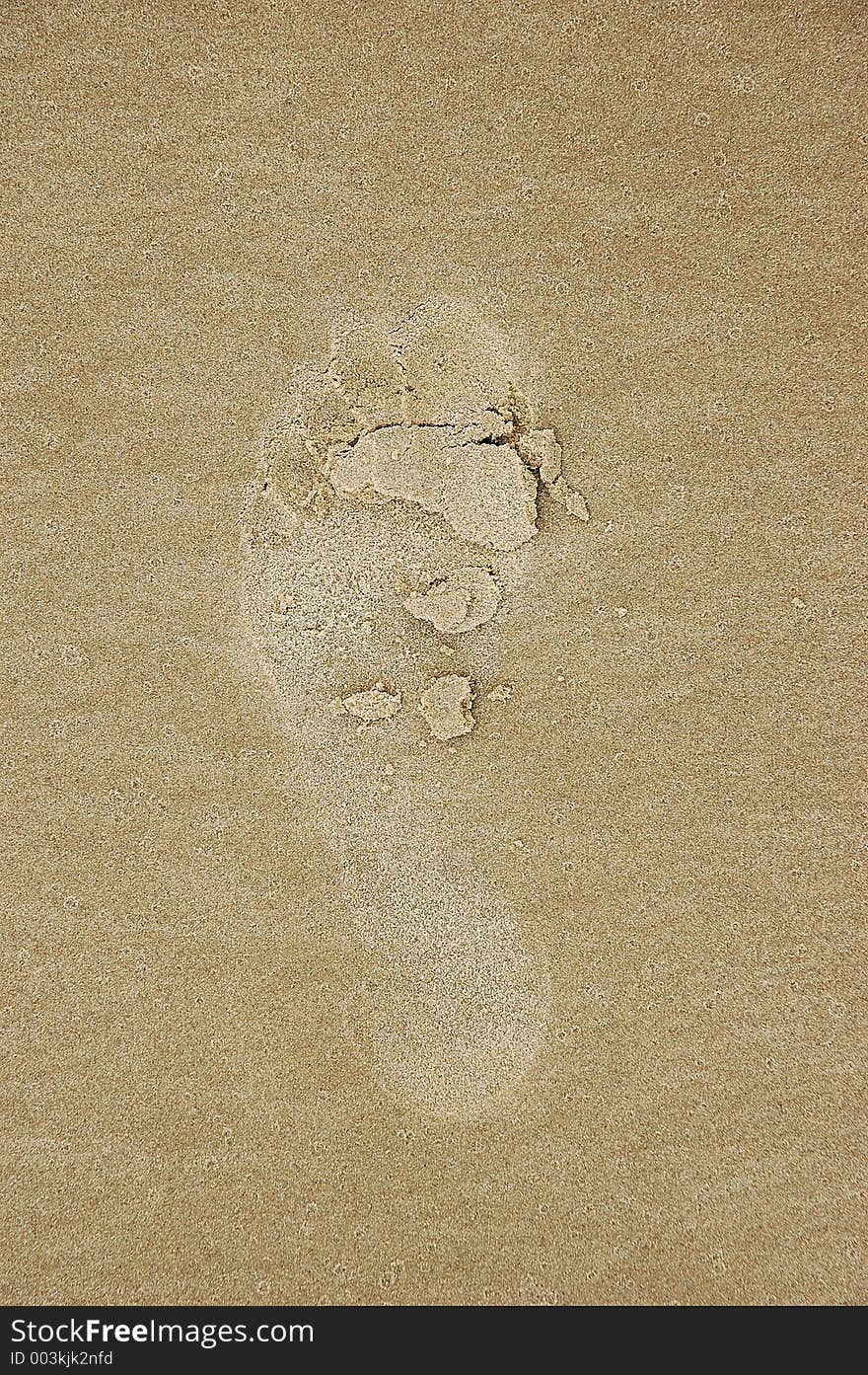 Barefoot print on wet sand