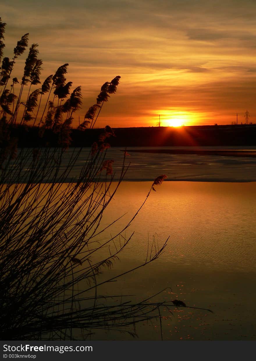 Sunset behind the reed on a lake near Bucharest