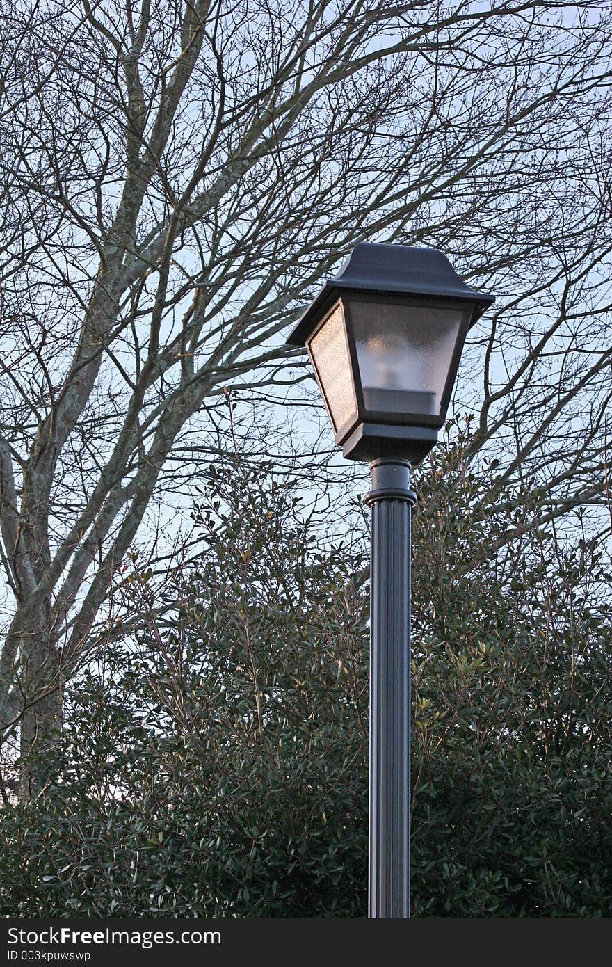 Lamppost in winter