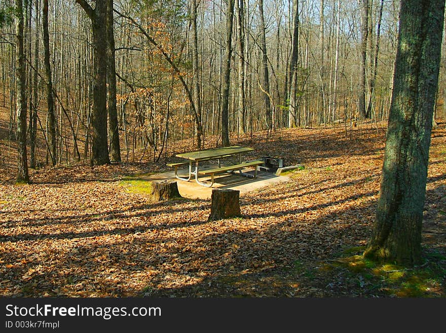 Picnic table in deep woods