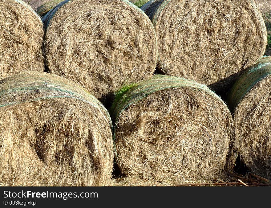 Hay Bales