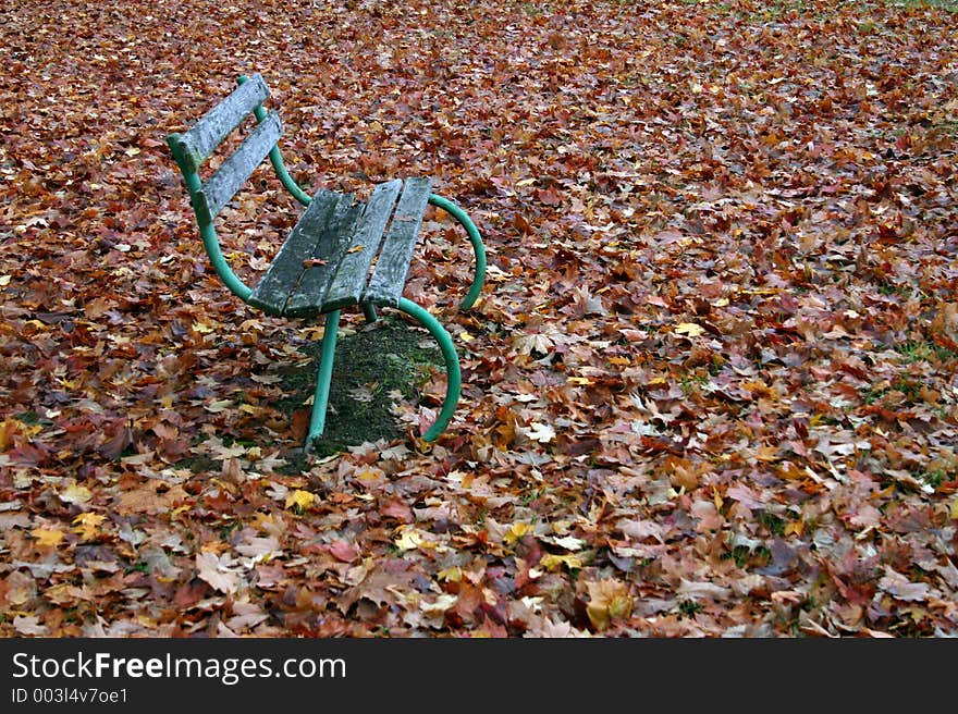 Autumnal Bench