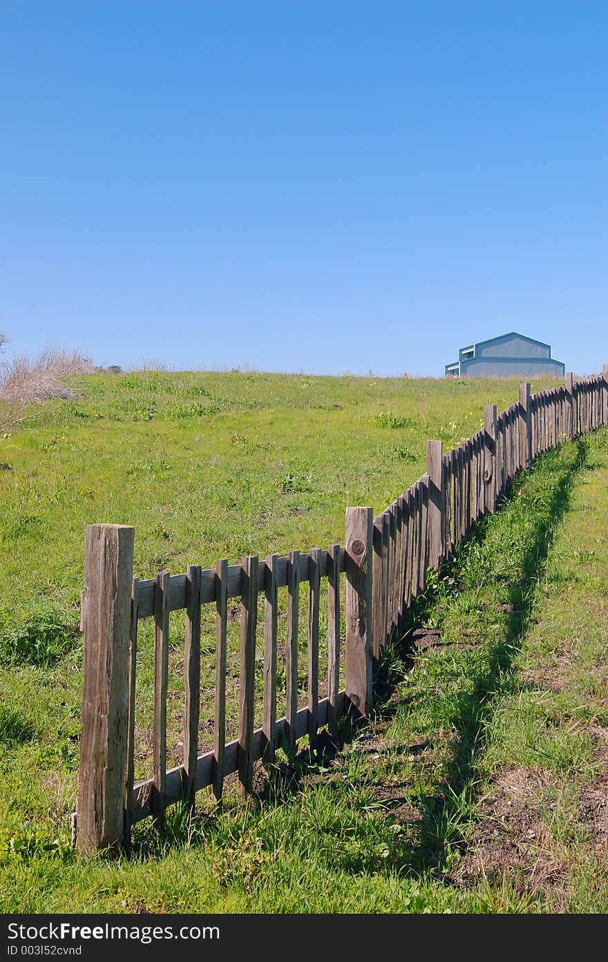 Springtime coastal meadow