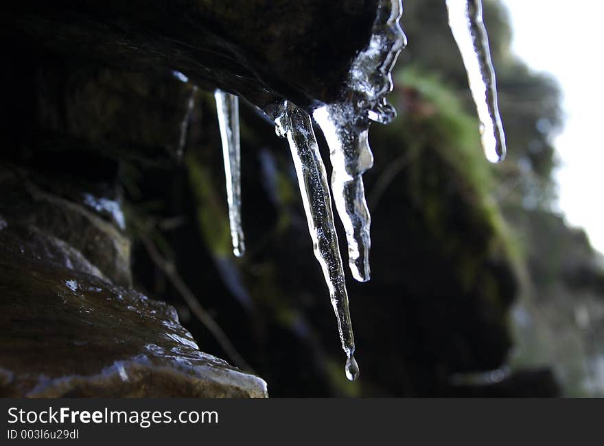 Iceicle Dripping at Sequoia National Park