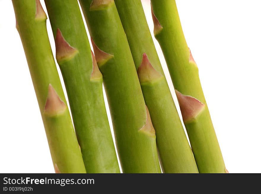 Asparagus