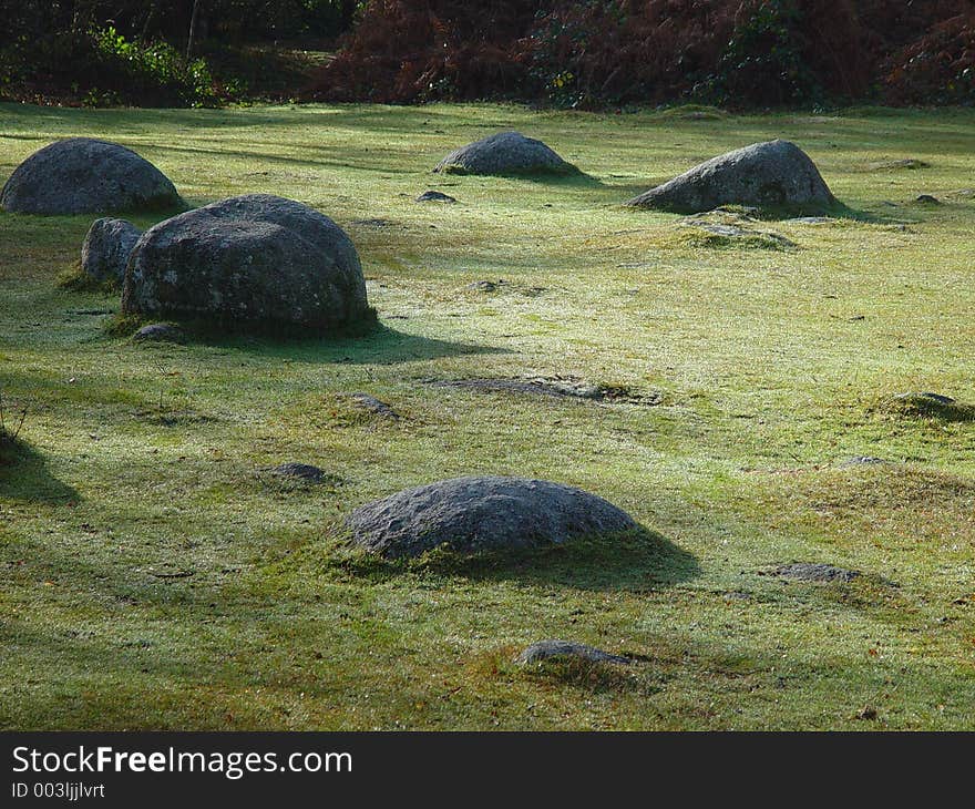 Stones on the grass on the side of the Dart river