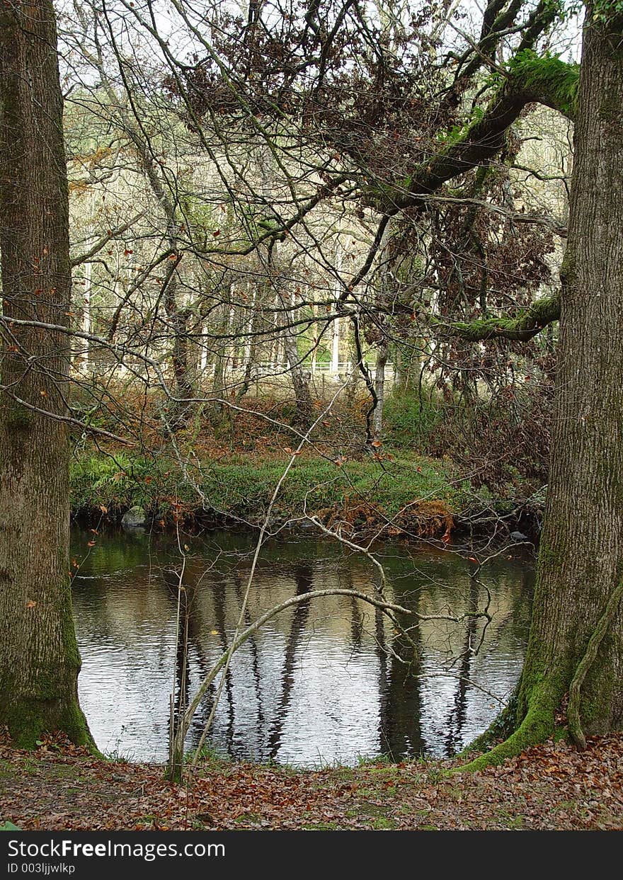 The Dart River