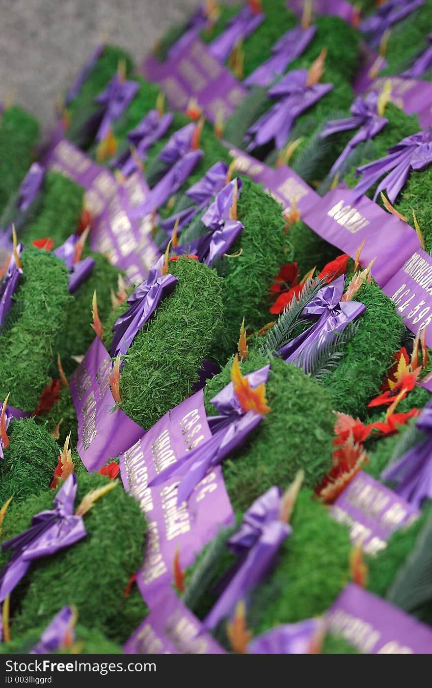 Shot of Remembrance day wreaths at the War Memorial in Ottawa Canada. Shot of Remembrance day wreaths at the War Memorial in Ottawa Canada