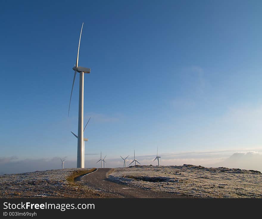 Wind mill farm