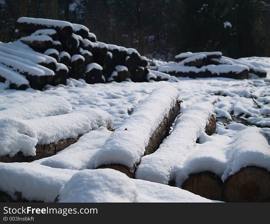 Wood and snow. Wood and snow