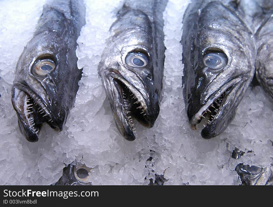 Fish in a market