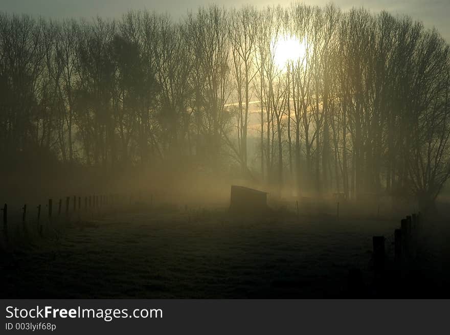 Sunlight shines through trees on a cabin in the field. Sunlight shines through trees on a cabin in the field