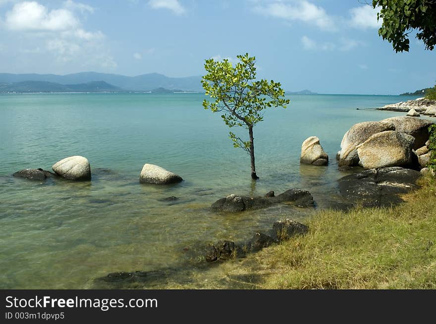 Limestone beach. Limestone beach