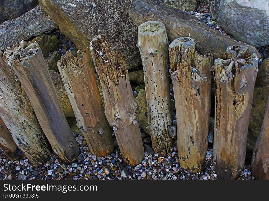 Seawashed wooden posts