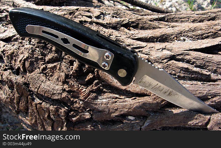 Original photo of a knife stuck in a dead tree. Original photo of a knife stuck in a dead tree.