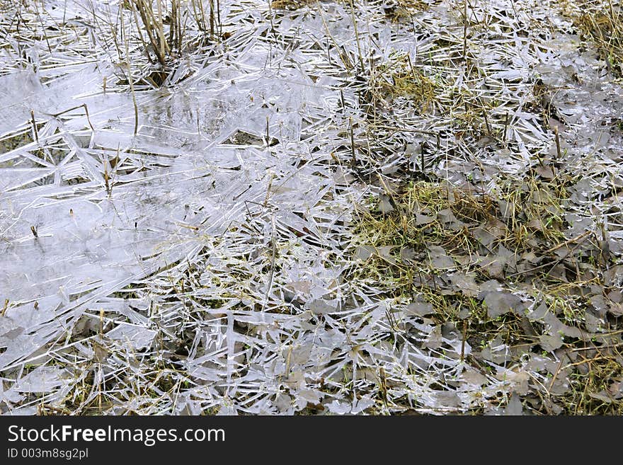 Thin ice that occurred on muddy lake