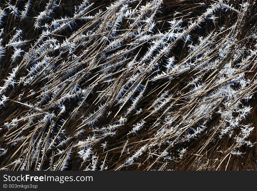 Beautiful frost formation. Beautiful frost formation